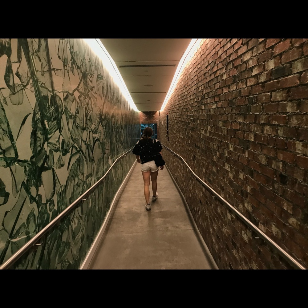 Meet your Posher, Hannah